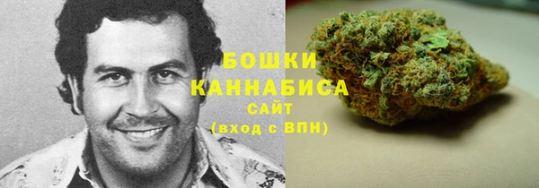 ALPHA PVP Коряжма