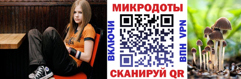 Псилоцибиновые грибы Cubensis  Купить  Вязники 